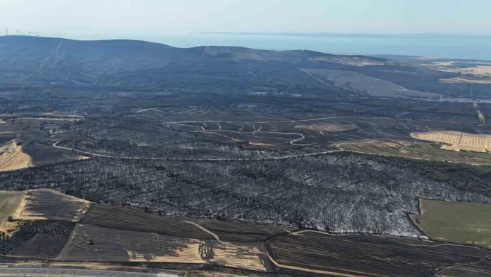 Tekirdağ'da başlayarak Çanakkale'ye ulaşan orman yangınında yanan yerler dron ile görüntülendi