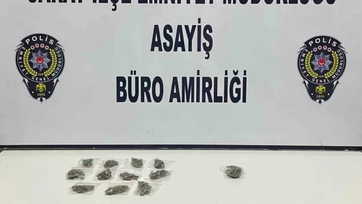 Tekirdağ'da bonzai maddesi ele geçirildi