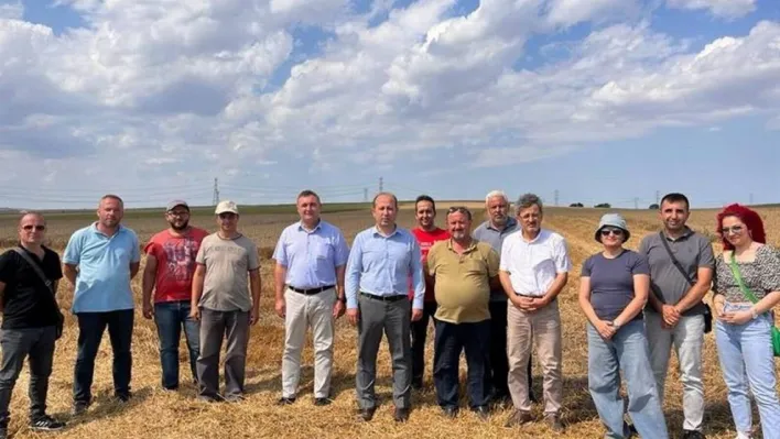 Tekirdağ'da buğday hasadı devam ediyor