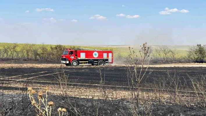 Tekirdağ'da çıkan tarla yangını söndürüldü