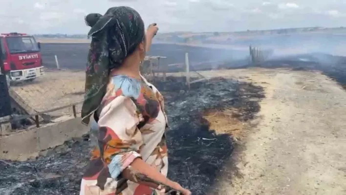 Tekirdağ'da çıkan yangın yerleşim alanlarını tehdit etti