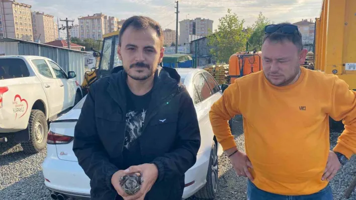 Tekirdağ'da Ebabil kuşu bulundu