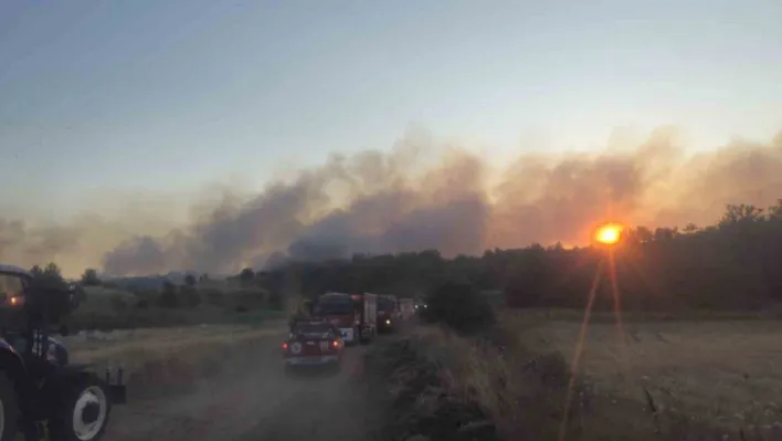 Tekirdağ'da eski kömür ocağı sahasında yangın