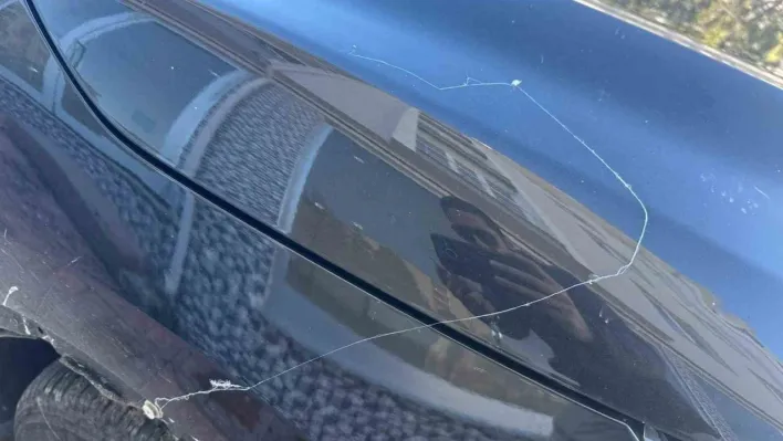 Tekirdağ'da gökyüzünden örümcek ağı yağdı