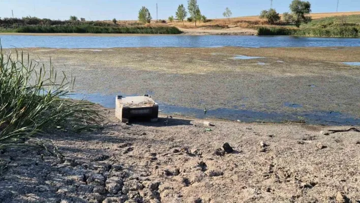 Tekirdağ'da gölette sular çekildi, çatlaklar oluşmaya başladı