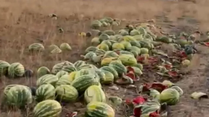 Tekirdağ'da israf tepkisi: Karpuzlar yola saçıldı