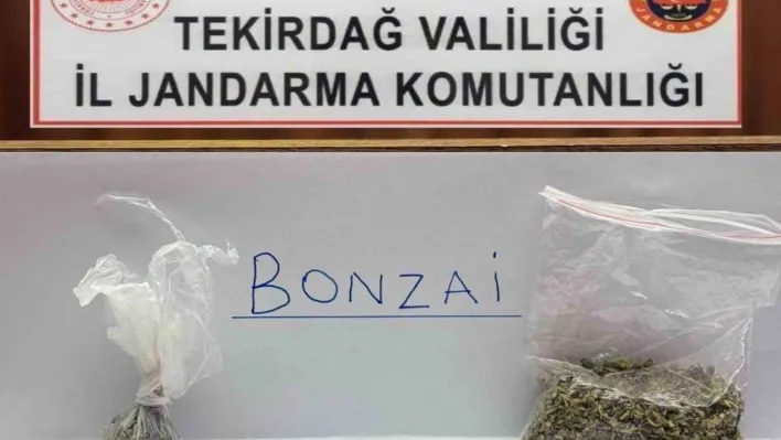 Tekirdağ'da jandarma yol ve mahalle denetimlerinde bonzai ele geçirdi