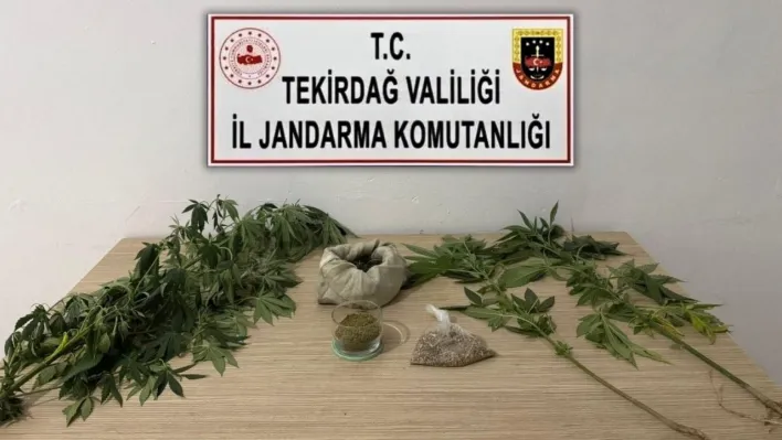 Tekirdağ'da jandarmadan 6 ayrı uyuşturucu operasyonu