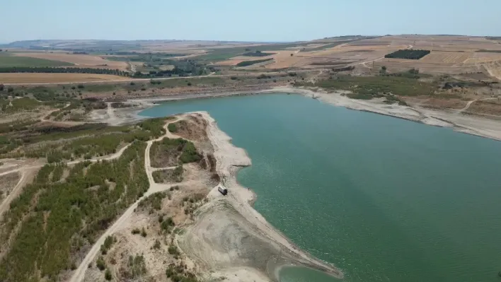 Tekirdağ'da kuruyan Türkmenli Gölet'inde ağaçlar ortaya çıktı