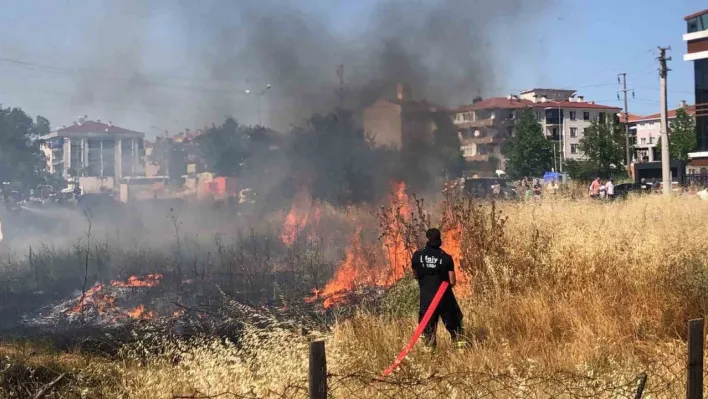 Tekirdağ'da mahalle arasındaki arazi yangını korkuttu: 50 güvercin son anda kurtarıldı