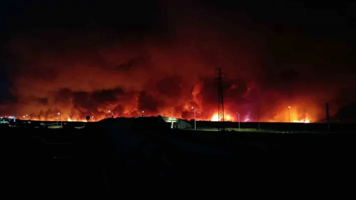 Tekirdağ'da orman yangını geceyi gündüze çevirdi