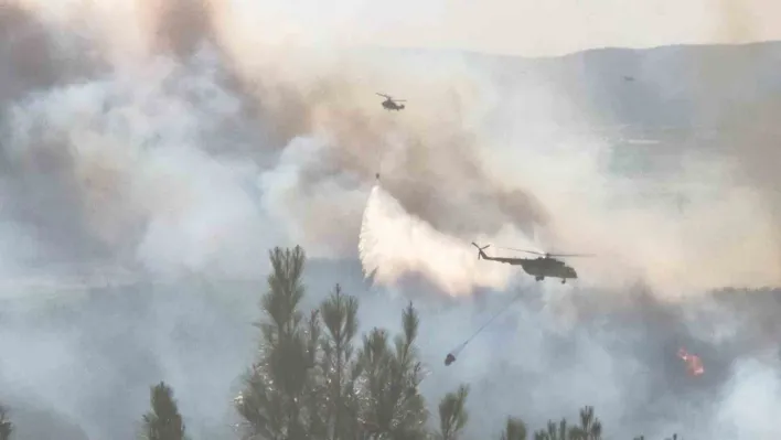 Tekirdağ'da orman yangınına havadan ve karadan müdahale sürüyor