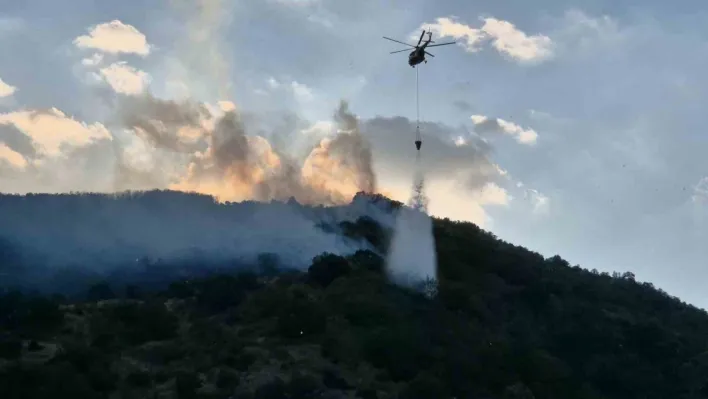 Tekirdağ'da orman yangınına müdahale sürüyor