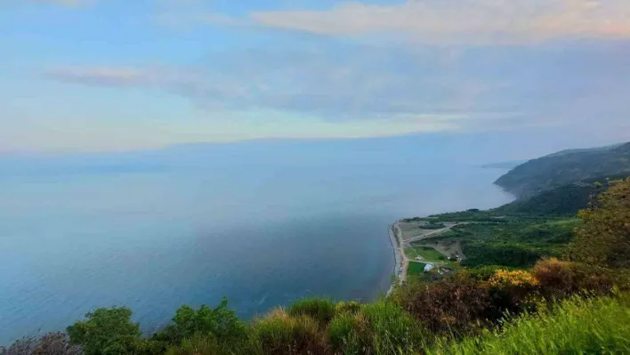 Tekirdağ'da ormanda piknik yapmak yasaklandı