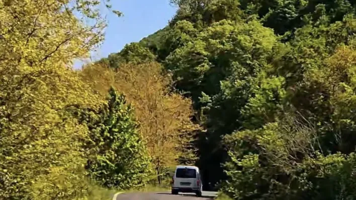 Tekirdağ'da ormanlara girişler yasaklandı