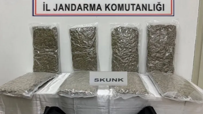 Tekirdağ'da otoyol gişelerinde 12 kilogram skunk ele geçirilmesine ilişkin 1 kişi tutuklandı