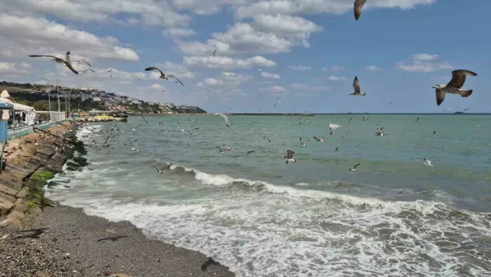 Tekirdağ'da poyraz deniz ulaşımını aksattı