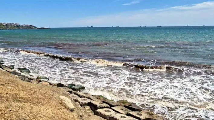 Tekirdağ'da poyraz sonrası deniz yüzeyi kızıl yosunla kaplandı