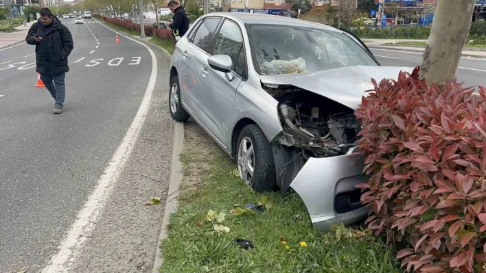 Tekirdağ'da refüje çıkan otomobil ağaca çarptı: 3 yaralı
