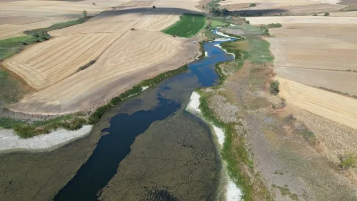 Tekirdağ'da Sarılar Göleti kuraklıktan nasibini aldı