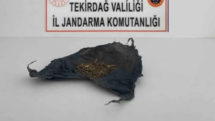 Tekirdağ'da uyuşturucu operasyonları: Bonzai ve esrar ele geçirildi