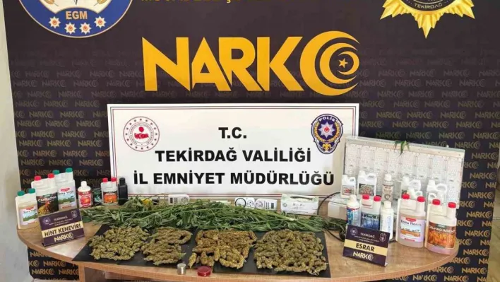 Tekirdağ'da uyuşturucu operasyonu: Esrar ve kenevir ele geçirildi
