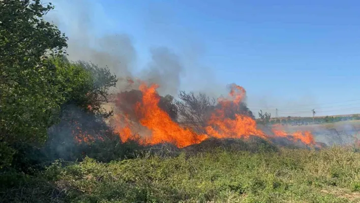 Tekirdağ'da yerleşim yerine yaklaşan yangın korkuttu