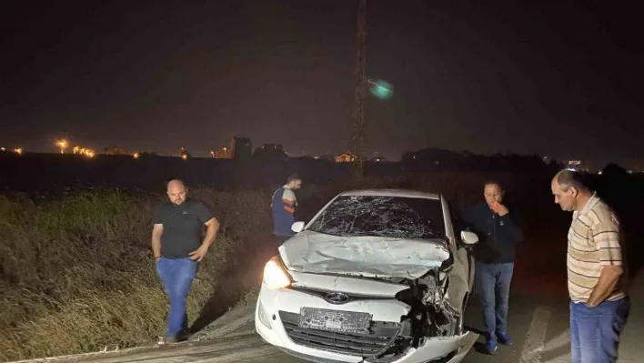 Tekirdağ'da yürek burkan olay: Otomobilin çarptığı yaralı inek, çoban kaçınca sahipsiz kaldı