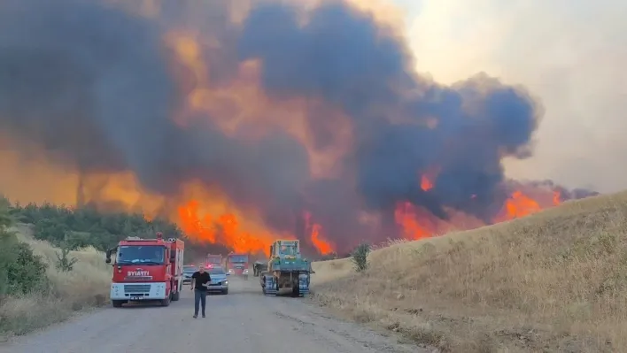 Tekirdağ'daki orman yangını kontrol altına alındı