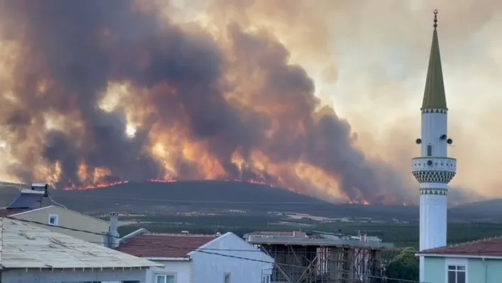 Tekirdağ'daki orman yangını tarım arazilerine sıçradı: 2 mahalle tahliye edildi