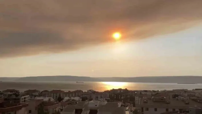 Tekirdağ'daki orman yangınının dumanı Çanakkale Boğazı'nı kapladı