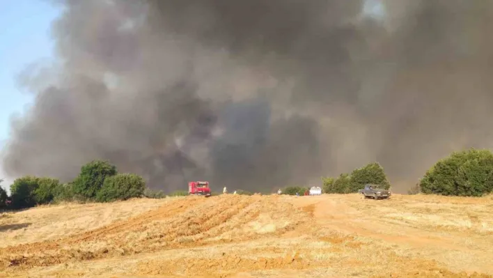 Tekirdağ'daki orman yangınıyla ilgili 2 kişi gözaltına alındı