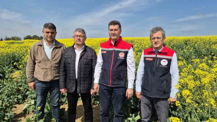 Tekirdağ İl Tarım Müdürü: 'Arılar ölürse, hayat da durur'