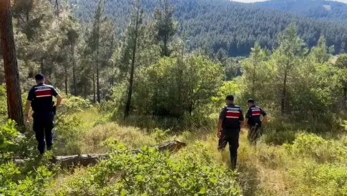 Tekirdağ Jandarması, orman yangınlarına karşı hem karadan hem havadan denetimler gerçekleştiriyor