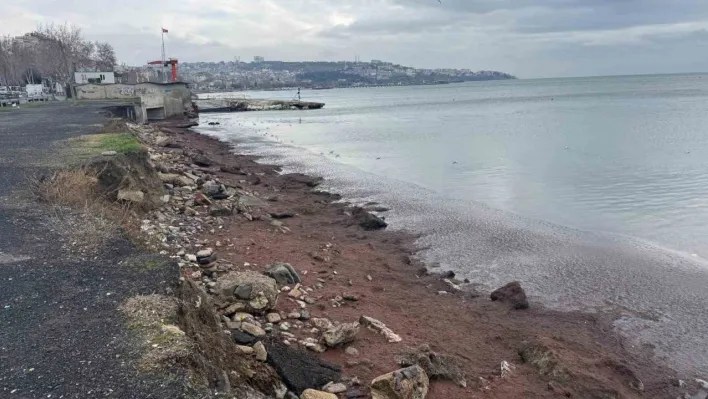 Tekirdağ kıyıları kızıl yosunla kaplandı