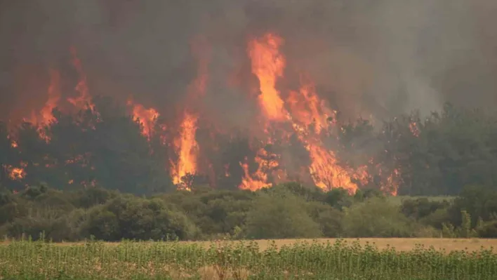 Tekirdağ Şarköy yangınında Çanakkale-Malkara otoyolunun Kavakköy kavşağı kısmında trafik akışı geçici olarak alternatif yollara yönlendiriliyor
