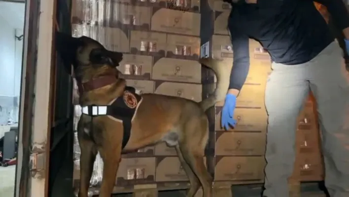 TEM'de durdurulan araçtan 9 kilo kokain ele geçirildi