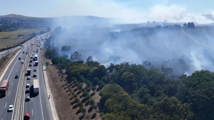 TEM Otoyolu kenarındaki ağaçlık alanda çıkan yangın söndürüldü
