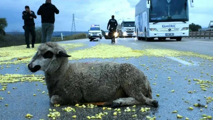 Tır şoförünün dikkati faciayı önledi