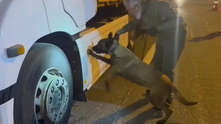 Tırdaki 5,5 kilogram uyuşturucuyu 'Viva' buldu