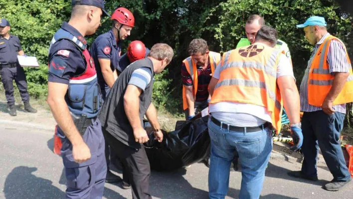 Tokat'tan, İstanbul'a giden aile kazada yok oluyordu