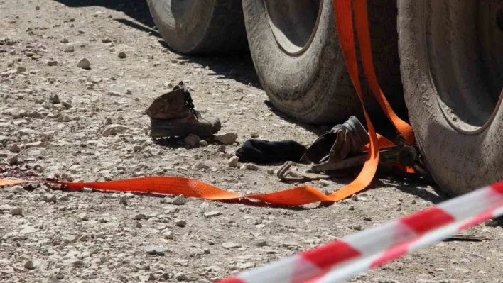 Tonlarca tomruk üzerine devrildi, hastanede hayatını kaybetti
