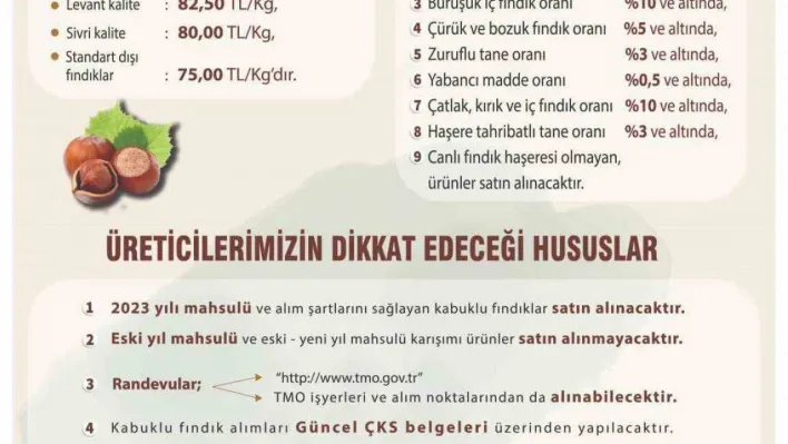 Toprak Mahsulleri Ofisi 2023 yılı kabuklu fındık alımları başladı