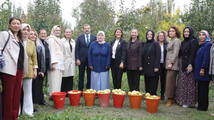 Topuklu iş kadınları ile şalvarlı köylü kadınları aynı tarlada