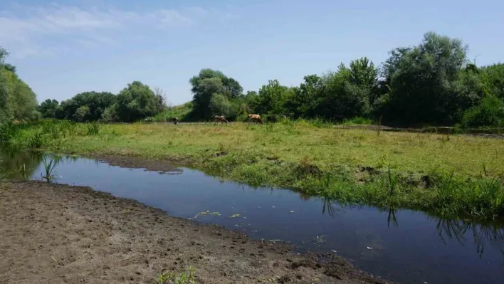 Tunca Nehri'nde kuraklık alarmı: Bölge üreticisi endişeli