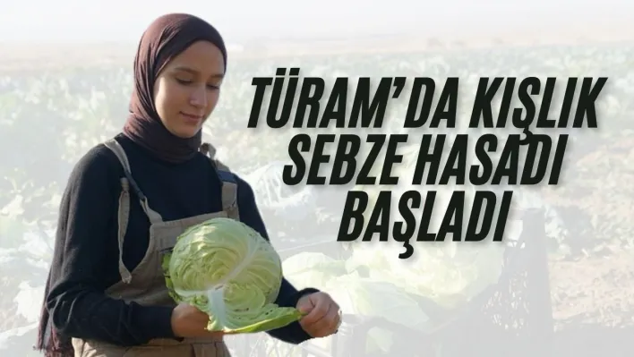 TÜRAM'da Kışlık Sebze Hasadı Başladı