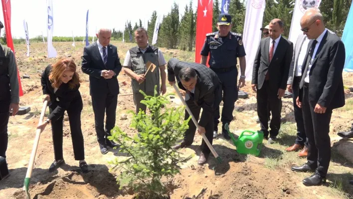 Türkiye'de '81 İlde 81 Orman' projesi kapsamında 81 ilde 2,2 milyon fidan toprakla buluşacak