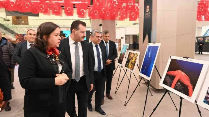 Türkiye'nin en büyük su altı fotoğraf sergisi Balıkesir'de