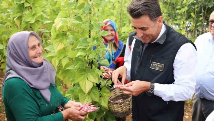 Türkiye'nin en güzel barbunyası: 'Kınık Barbunyası'