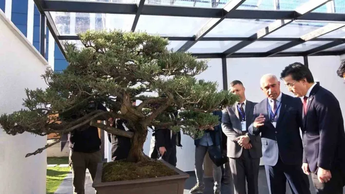 Türkiye'nin ilk, Avrupa'nın en büyük bonsai müzesi Yalova'da açıldı